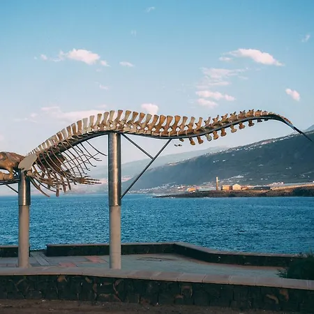 カントリーハウス Rural La Casa Amarilla *