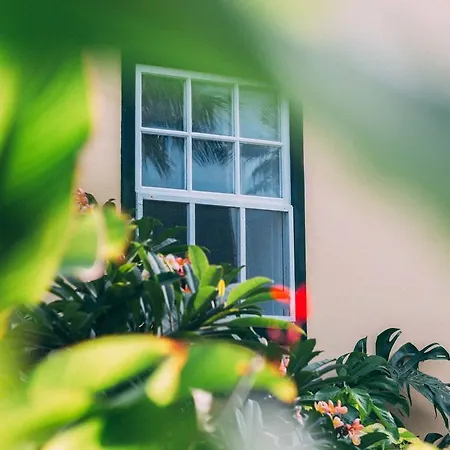 Rural La Casa Amarilla בית כפרי לוס סילוס