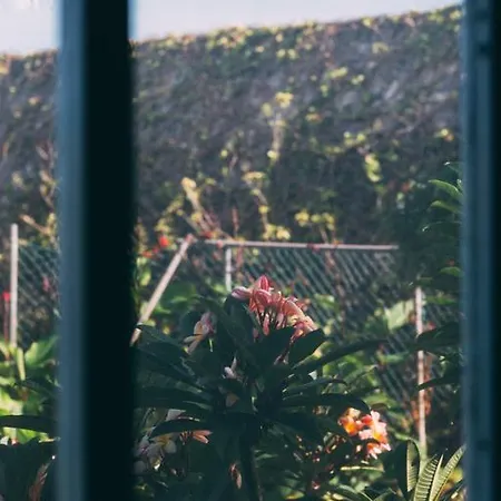 Rural La Casa Amarilla לוס סילוס