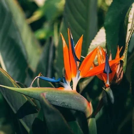 カントリーハウス Rural La Casa Amarilla ロス・シロス
